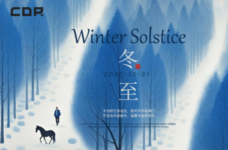 Common Rail 2641A312 Diesel Pump 320D Series Encyclopedia