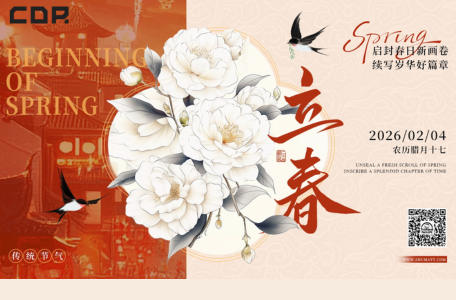 Meet Shumatt at AMR Beijing: Save on 294050-0440 Diesel Pump